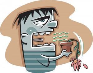 A man killing a potted flower with his bad breath --- Image by © ImageZoo/Corbis