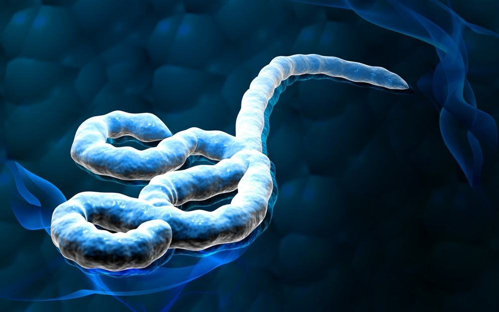 Paciente com suspeita de ebola em SP é diagnosticado com meningite; faltam resultados de outros exames