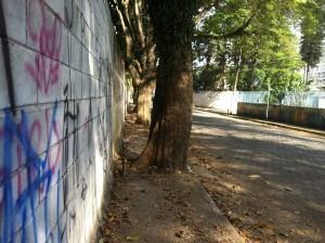 coluna do carleto 301