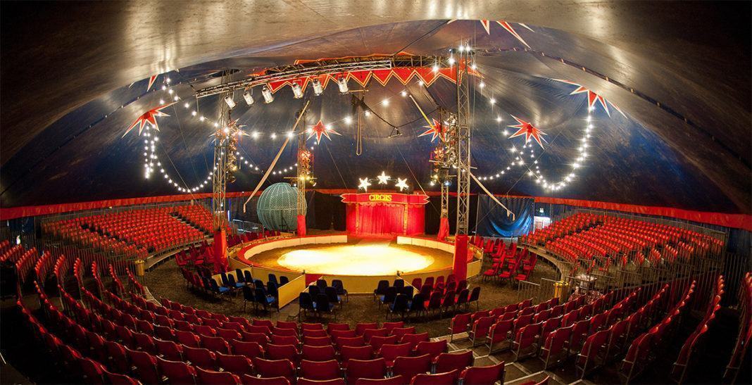 A magia do circo vai te contagiar | Click Guarulhos