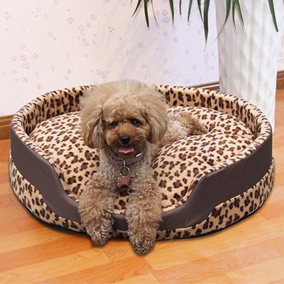 Decoração para aquecer os ambientes e cuidados com os pets | Click Guarulhos
