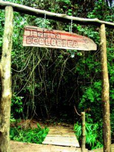 colina verde caminhada