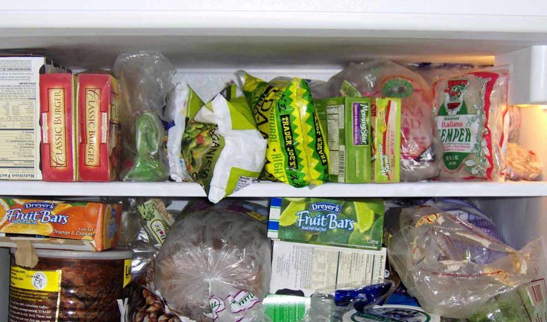 As regras do freezer | Click Guarulhos As regras do freezer | Click Guarulhos