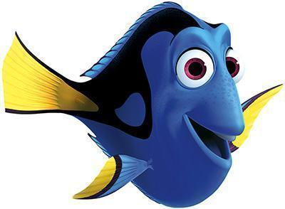 Não procure uma Dory | Click Guarulhos
