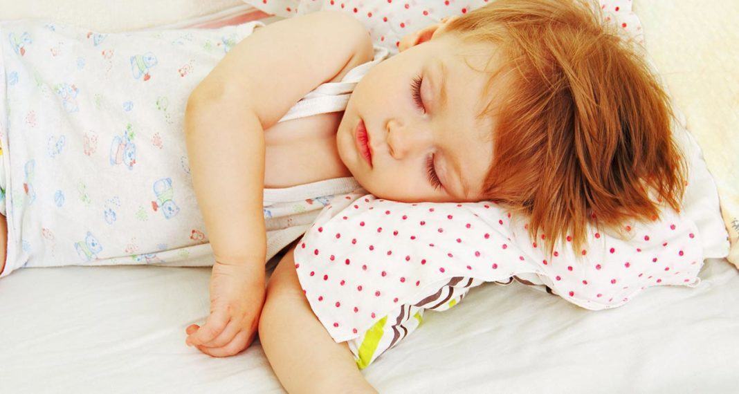 Livros para dormir | Click Guarulhos