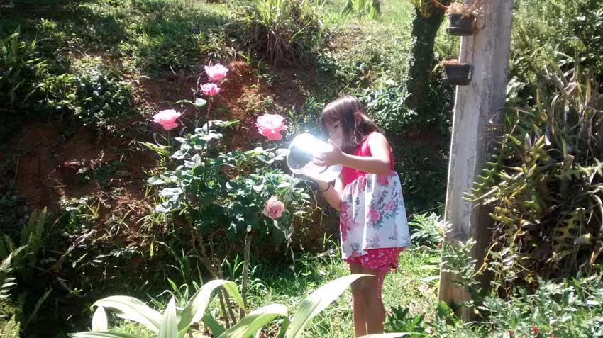 ensinando-crianca-a-respeitar-o-meio-ambiente