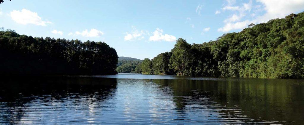 Doses de natureza em Guarulhos e arredores