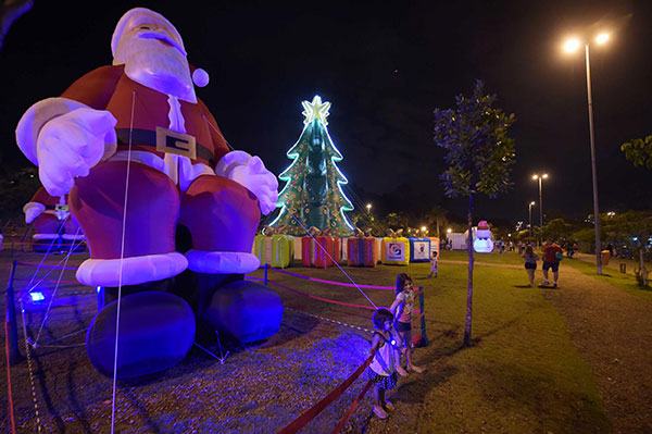 Decoração de Natal Bosque Maia