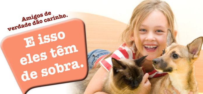 Feira de adoção de pets no Shopping Pátio Guarulhos