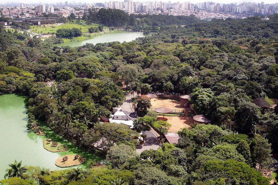 zoologico-sp