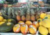 Rocha Hortifruti, sua nova opção no Parque Renato Maia