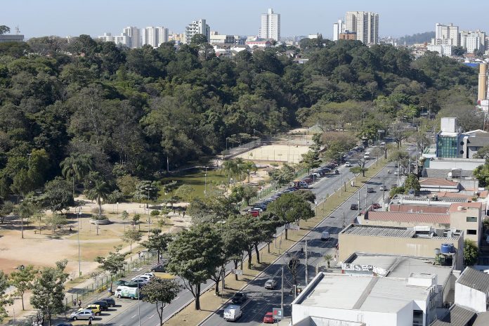 Bosque Maia - Imagem Panorâmica