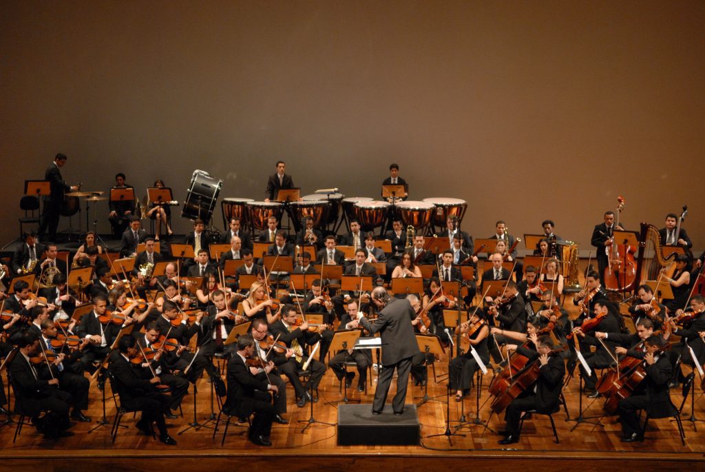 Apresentação Orquestra Jovem - Local: Auditório Parque Ibirapuera/SP - Data: Novembro/2010 (Foto: Sidnei Barros/PMG)