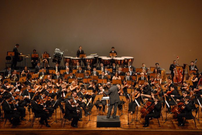 Apresentação Orquestra Jovem - Local: Auditório Parque Ibirapuera/SP - Data: Novembro/2010 (Foto: Sidnei Barros/PMG)