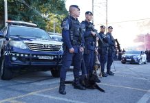 Operação Nocaute prende 25 criminosos, apreende drogas e recupera veículos