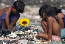 Tela Brasil, plataforma gratuita de streaming com filmes e séries brasileiras, começa a funcionar neste sábado