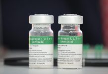 Instituto Butantan emite Nota Oficial sobre a suspensão da vacinação contra a dengue