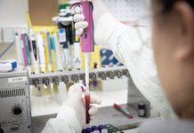 Ebola: novos exames comprovam que paciente de SP não está contaminado com esse vírus