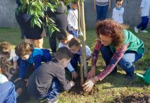 Guarulhos celebra mês do meio ambiente com plantio de 400 mudas de árvores
