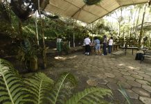 Férias de julho em Guarulhos têm atividades gratuitas para as crianças