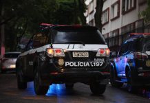 Duas operações contra maus-tratos resultam em mais de 140 animais resgatados e prisões em SP